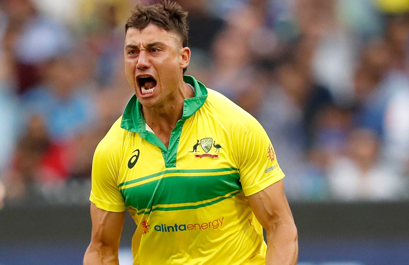 Stoinis, Agar added to Australia's growing injury list