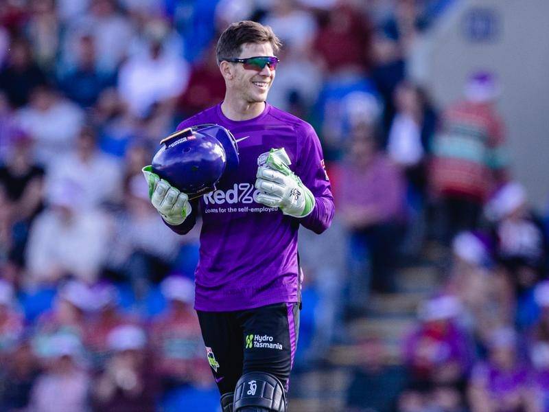 Tim Paine joins Adelaide Strikers as assistant coach in BBL